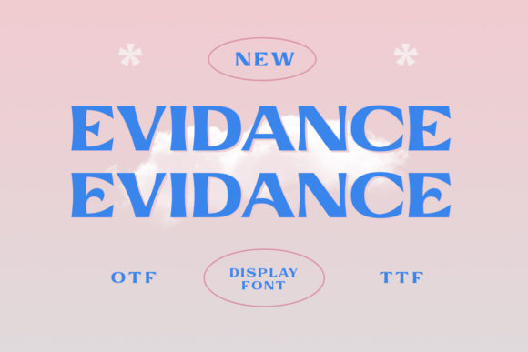 A Designer's Honest Review: Can Evidance Handle Real Work?