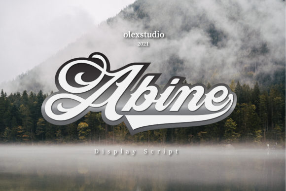 Abine: A Bold Display Font That Builds Your Brand