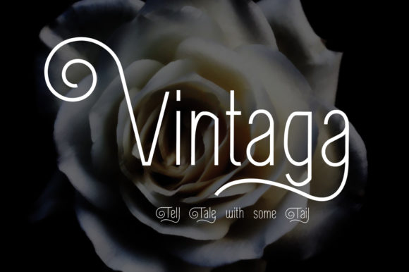 Choosing Vintaga: A Display Font for Editorial Character