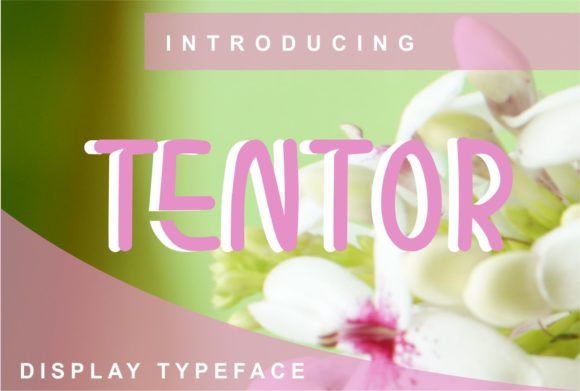 Tentor: A Modern Display Font for Digital Designers