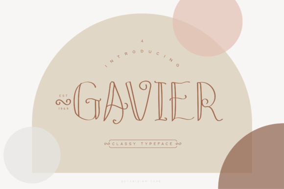 Testing Gavier for Web Design: A Modern Display Font Review